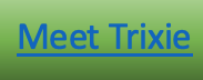 Meet Trixie button